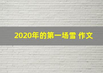 2020年的第一场雪 作文